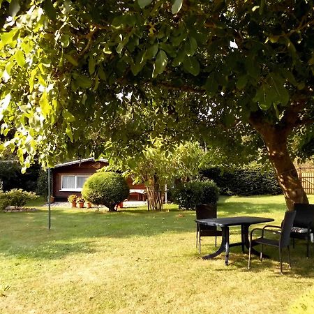 Bungalow Und Ferienwohnung Auf Ruegen Kluis エクステリア 写真