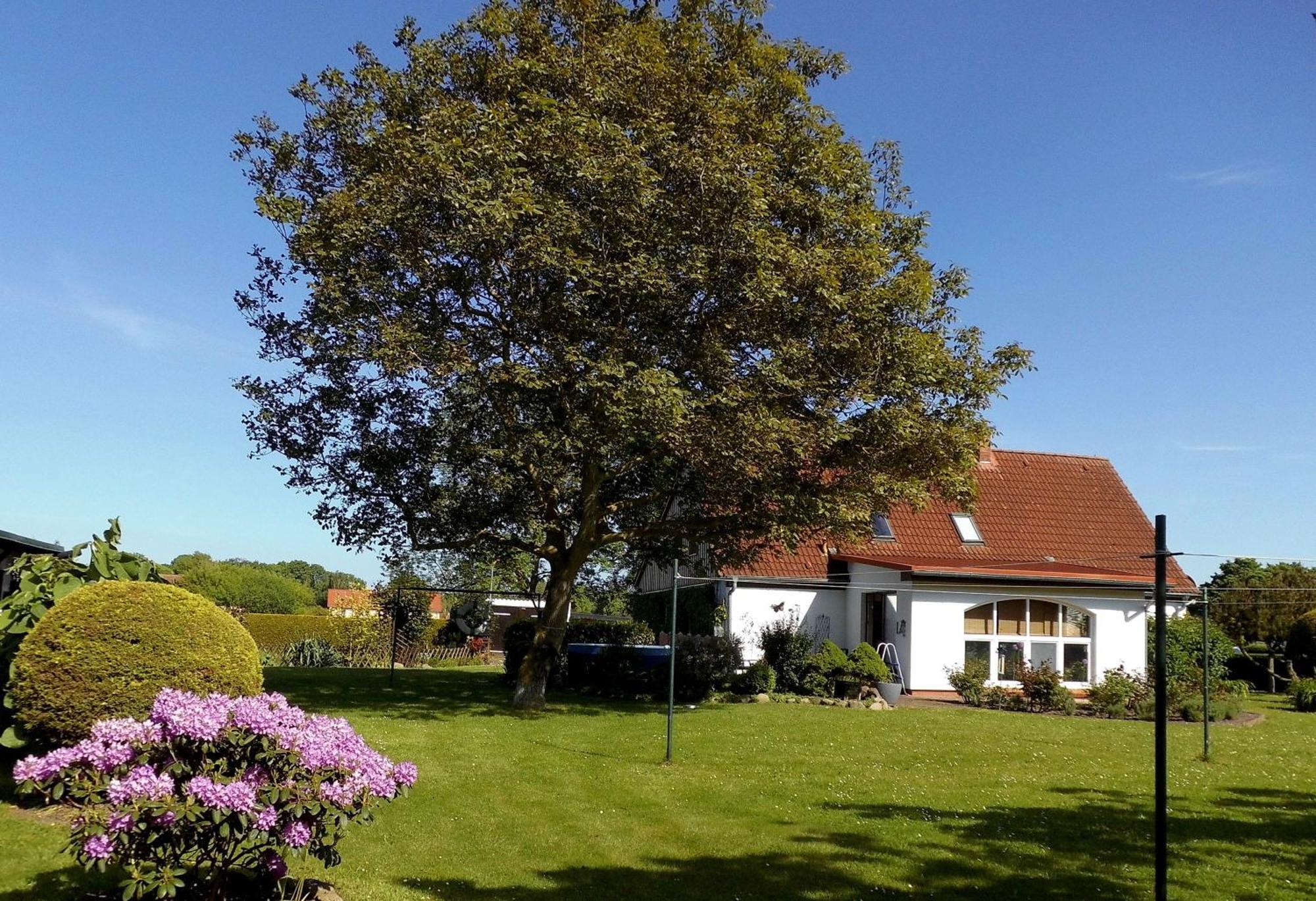 Bungalow Und Ferienwohnung Auf Ruegen Kluis エクステリア 写真